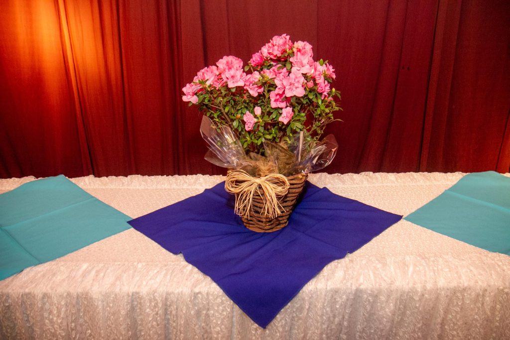 Baile de Aniversário